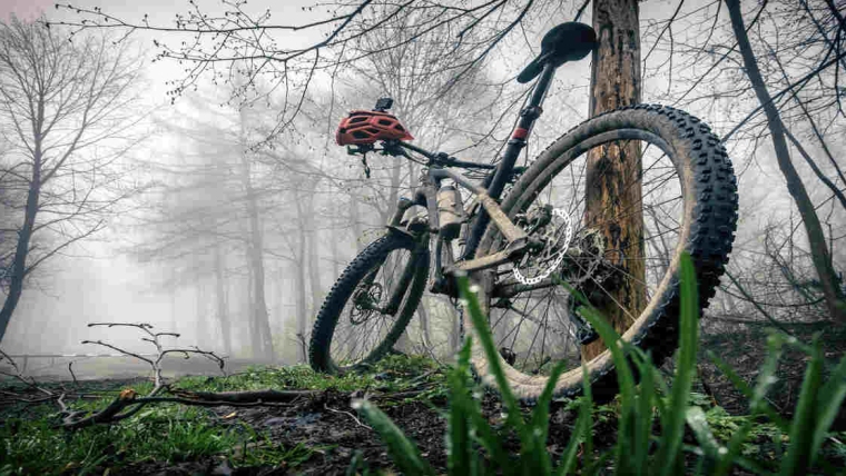 Top Mountain Bikes | Best Off-Road Cycling Companions