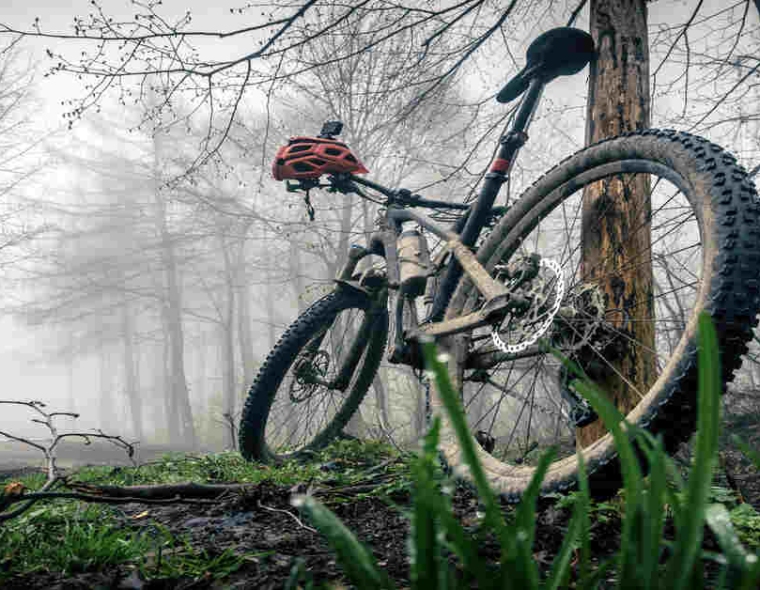 Top Mountain Bikes | Best Off-Road Cycling Companions